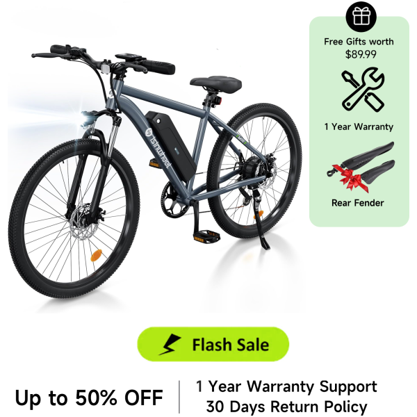 isinwheel M10 500W Electric Commuter Bike