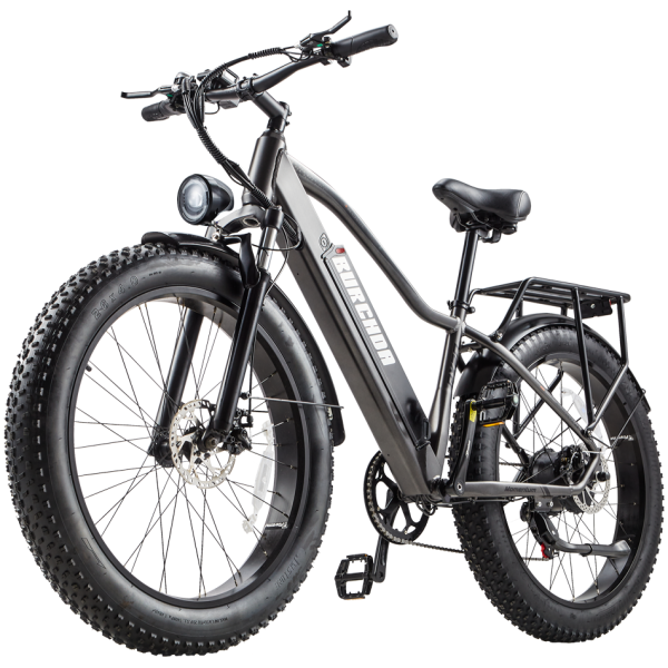 BURCHDA RX20 eBike