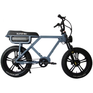 EURONAU FLASH EBIKE