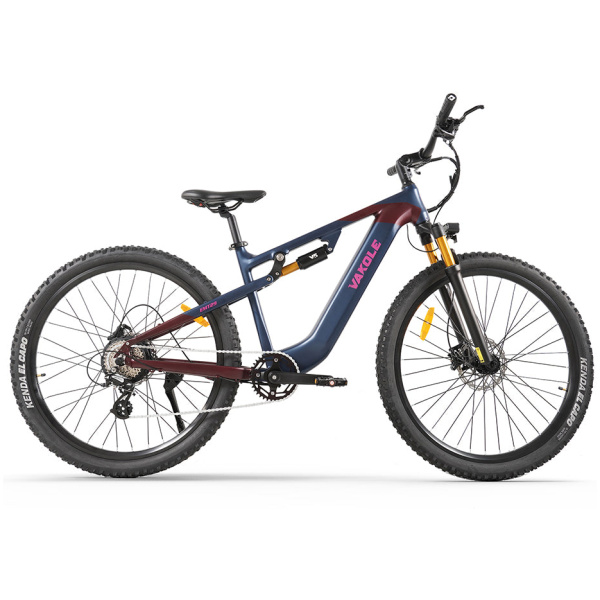Vakole EMT29 Cross-Country E-Mountain Bike